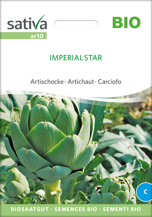Artikelbild 1 von "BIO Artischocke Imperial Star" aus der Kategorie Artischockensamen