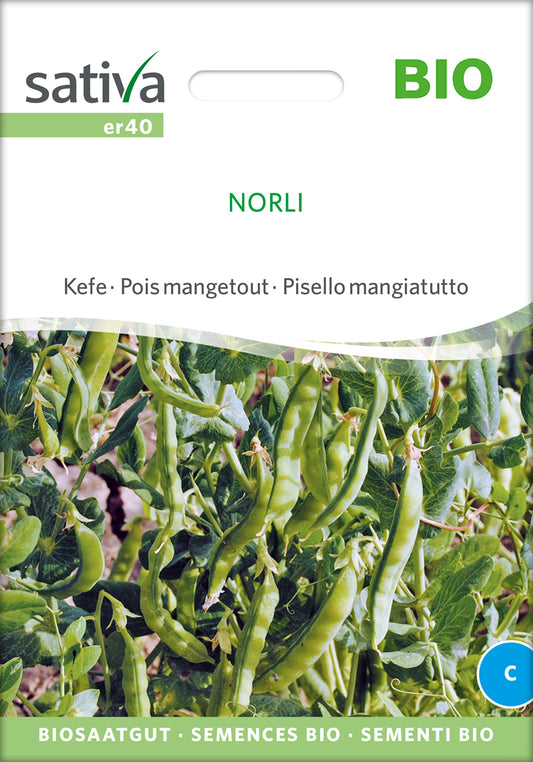 Artikelbild 1 von "BIO Zuckererbse Norli" aus der Kategorie Zuckererbsensamen