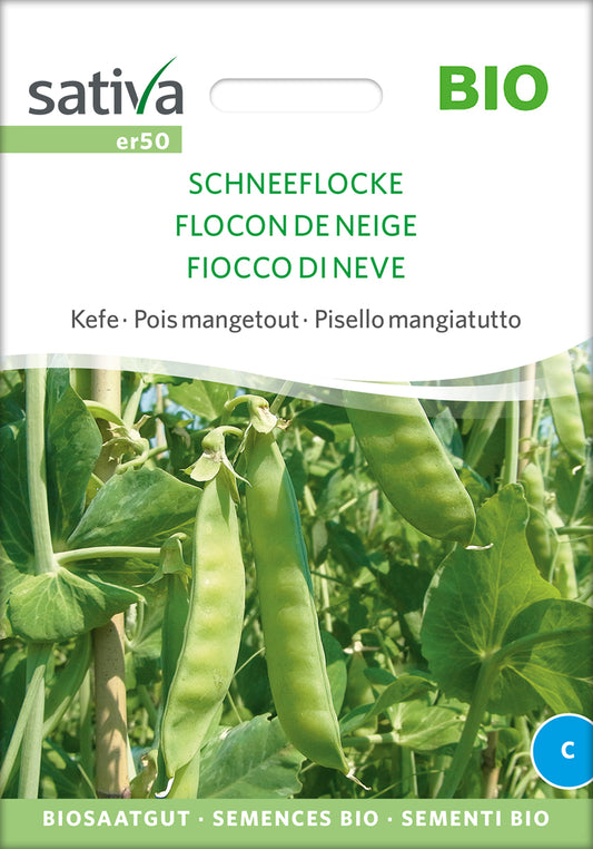 Artikelbild 1 von "BIO Zuckererbse Schneeflocke" aus der Kategorie Zuckererbsensamen