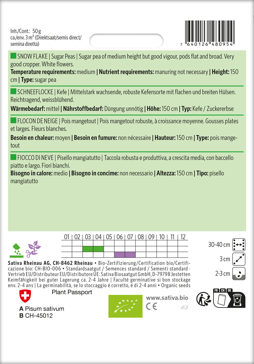 Artikelbild 2 von "BIO Zuckererbse Schneeflocke" aus der Kategorie Zuckererbsensamen