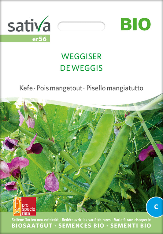 Artikelbild 1 von "BIO Zuckererbse Weggiser" aus der Kategorie Zuckererbsensamen