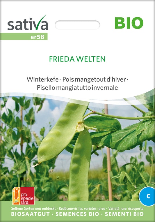 Artikelbild 1 von "BIO Zuckererbse Frieda Welten" aus der Kategorie Zuckererbsensamen