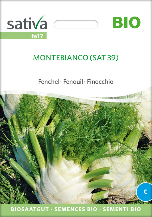 Artikelbild 1 von "BIO Knollenfenchel Montebianco" aus der Kategorie Fenchelsamen