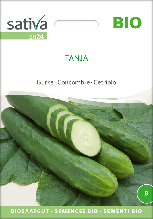 Artikelbild 1 von "BIO Gurke Tanja" aus der Kategorie Freilandgurkensamen