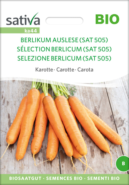 Artikelbild 1 von "BIO Möhre Berlikum Auslese" aus der Kategorie Möhrensamen