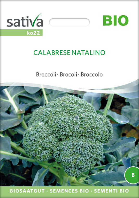 Artikelbild 1 von "BIO Broccoli Calabrese Natalino" aus der Kategorie Brokkolisamen