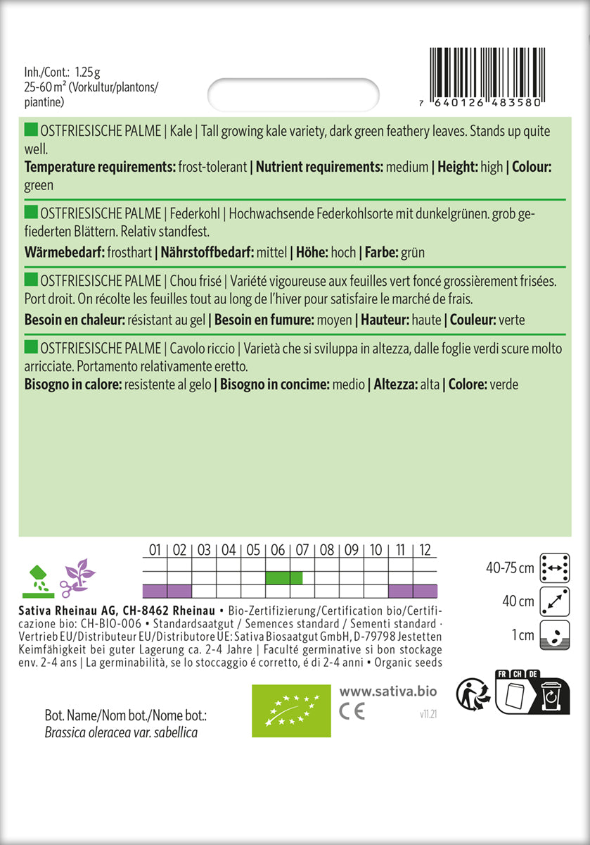Artikelbild 2 von "BIO Federkohl / Grünkohl Ostfriesische Palme" aus der Kategorie Grünkohlsamen