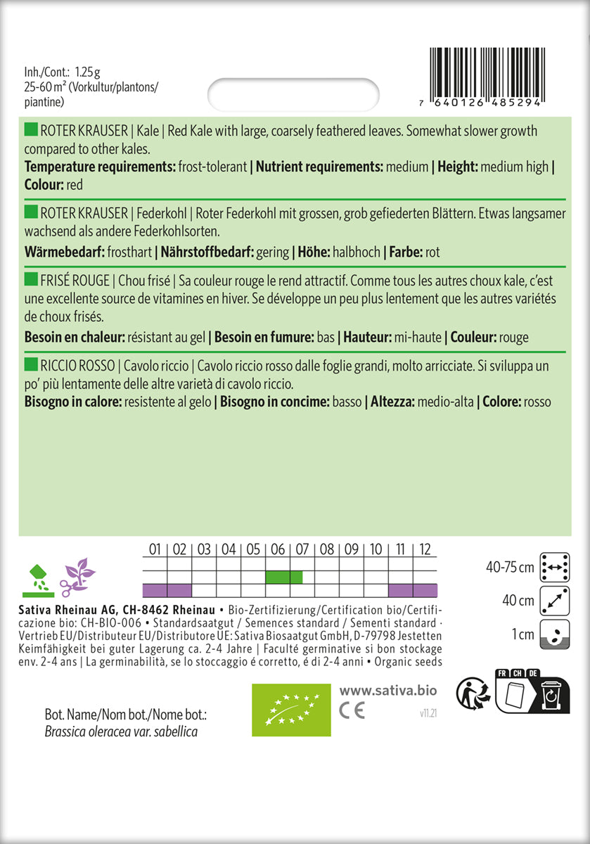 Artikelbild 2 von "BIO Federkohl / Grünkohl Roter Krauser" aus der Kategorie Grünkohlsamen