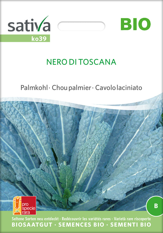 Artikelbild 1 von "BIO Palmkohl Nero Di Toscana" aus der Kategorie Kohlsamen