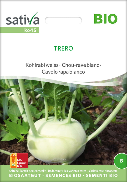 Artikelbild 1 von "BIO Kohlrabi weiss Trero" aus der Kategorie Kohlrabisamen