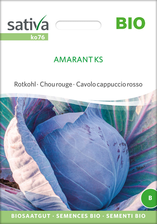 Artikelbild 1 von "BIO Rotkohl Amarant Ks" aus der Kategorie Rotkohlsamen