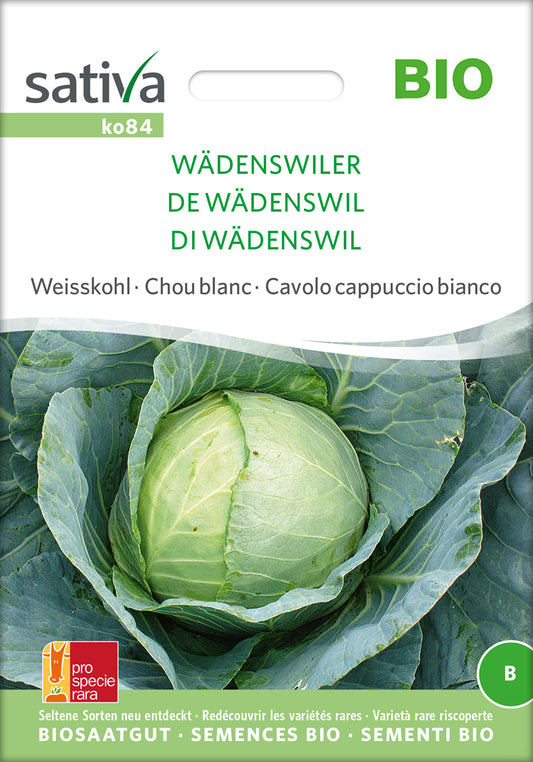 Artikelbild 1 von "BIO Weisskohl Wädenswiler" aus der Kategorie Weißkohlsamen