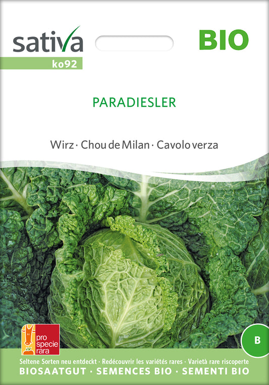 Artikelbild 1 von "BIO Wirz / Wirsing Paradiesler" aus der Kategorie Wirsingsamen