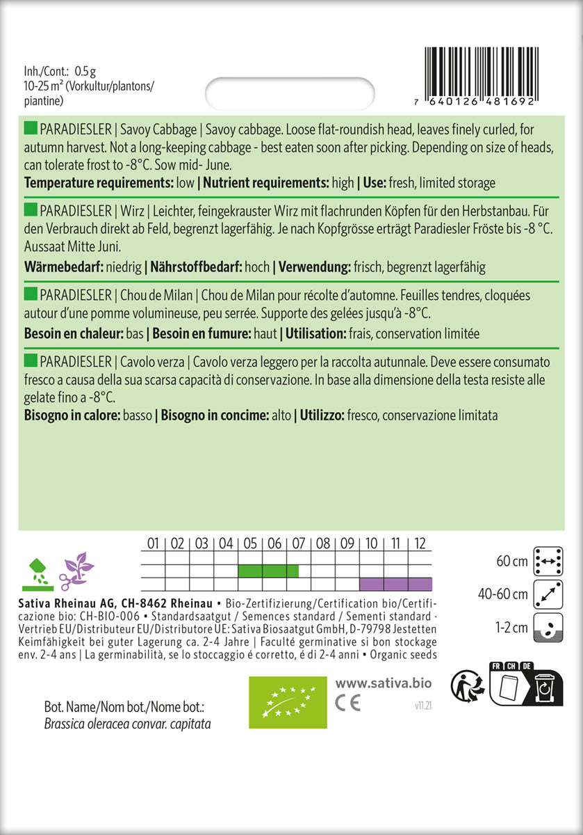 Artikelbild 2 von "BIO Wirz / Wirsing Paradiesler" aus der Kategorie Wirsingsamen