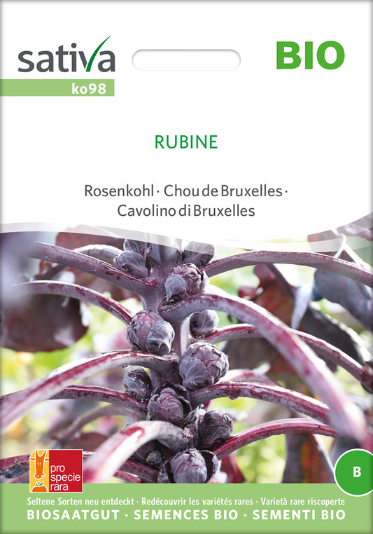 Artikelbild 1 von "BIO Rosenkohl Rubine" aus der Kategorie Rosenkohlsamen