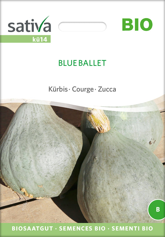 Artikelbild 1 von "BIO Kürbis Blue Ballet" aus der Kategorie Kürbissamen