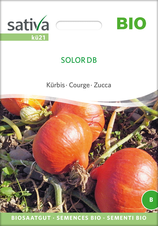 Artikelbild 1 von "BIO Kürbis Solor Db" aus der Kategorie Hokkaidokürbissamen