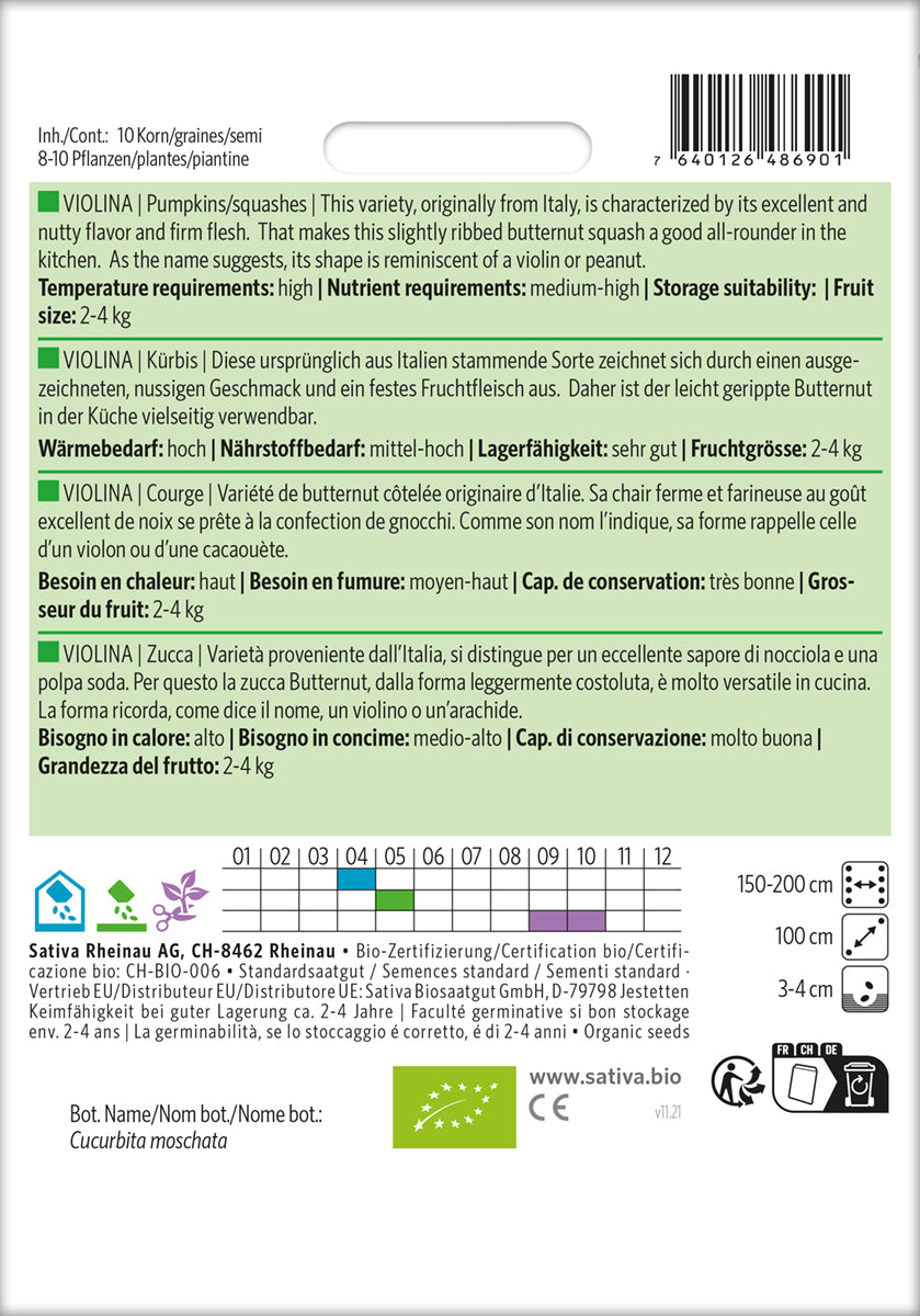 Artikelbild 2 von "BIO Kürbis Violina" aus der Kategorie Butternutkürbissamen