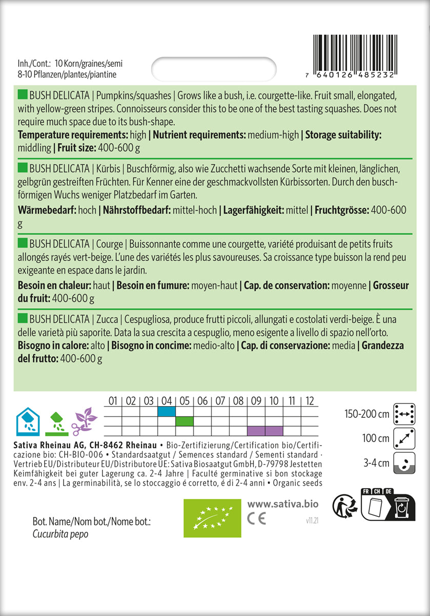 Artikelbild 2 von "BIO Kürbis Bush Delicata" aus der Kategorie Kürbissamen