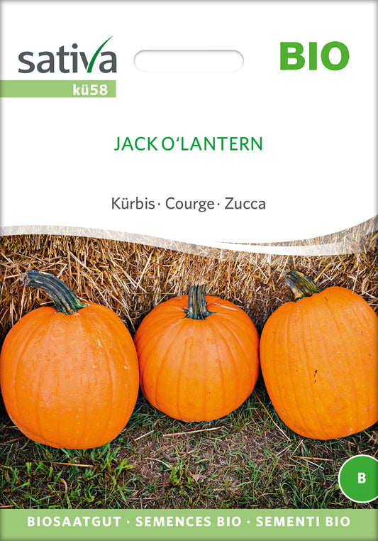 Artikelbild 1 von "BIO Kürbis Jack OLantern" aus der Kategorie Halloweenkürbissamen