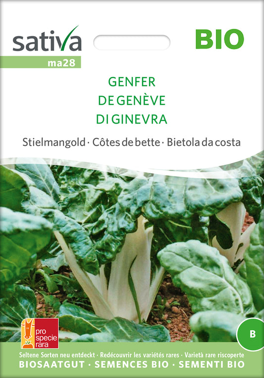 Artikelbild 1 von "BIO Krautstiel / Stielmangold Genfer" aus der Kategorie Mangoldsamen
