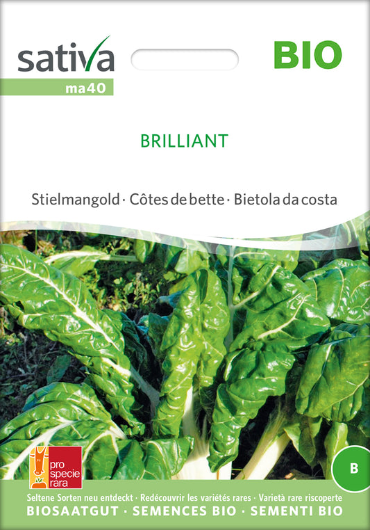 Artikelbild 1 von "BIO Krautstiel / Stielmangold Brilliant" aus der Kategorie Mangoldsamen