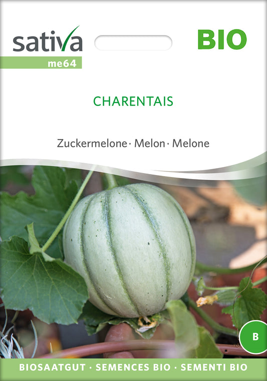 Artikelbild 1 von "BIO Zuckermelone Charentais" aus der Kategorie Zuckermelonensamen
