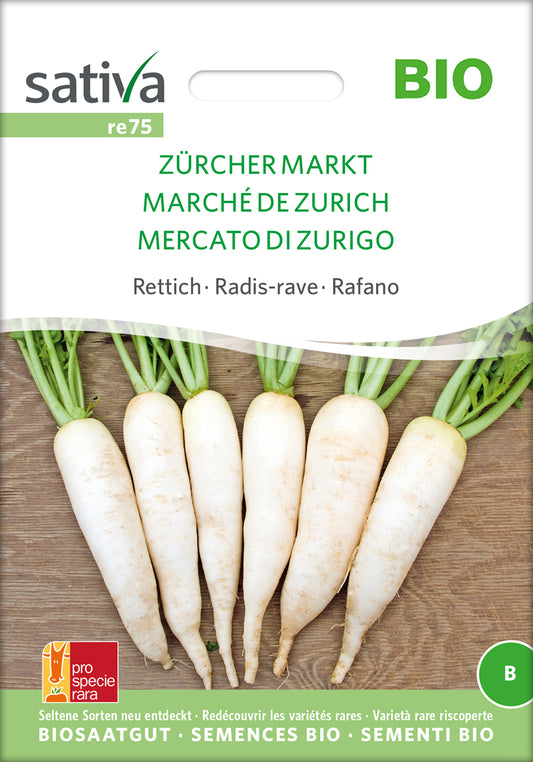 Artikelbild 1 von "BIO Rettich Zürcher Markt" aus der Kategorie Rettichsamen