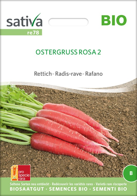 Artikelbild 1 von "BIO Rettich Ostergruss Rosa 2" aus der Kategorie Rettichsamen
