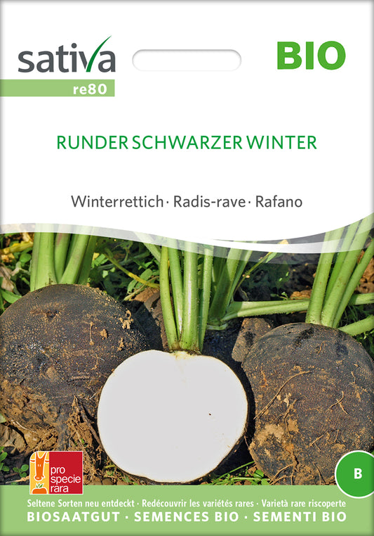 Artikelbild 1 von "BIO Winterrettich Runder Schwarzer Winter" aus der Kategorie Rettichsamen