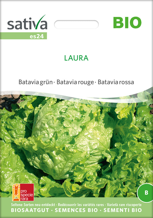 Artikelbild 1 von "BIO Batavia grün Laura" aus der Kategorie Kopfsalatsamen