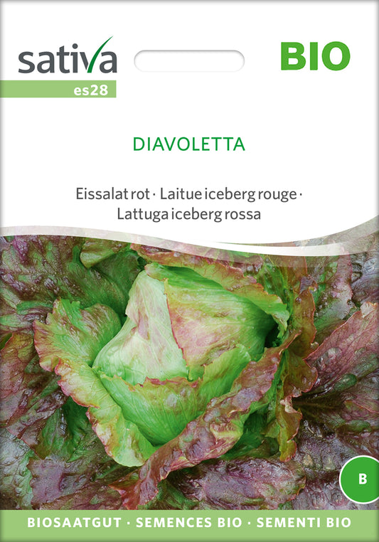 Artikelbild 1 von "BIO Eissalat rot Diavoletta" aus der Kategorie Kopfsalatsamen
