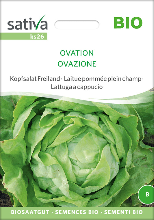 Artikelbild 1 von "BIO Kopfsalat Freiland Ovation" aus der Kategorie Kopfsalatsamen