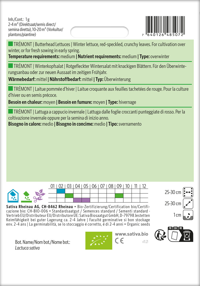 Artikelbild 2 von "BIO Winterkopfsalat Trémont" aus der Kategorie Kopfsalatsamen