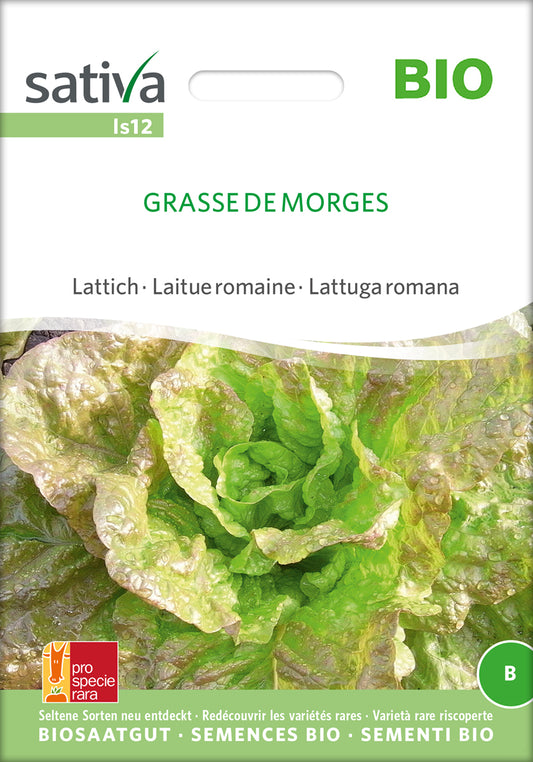 Artikelbild 1 von "BIO Lattich Grasse De Morges" aus der Kategorie Eichblattsalatsamen