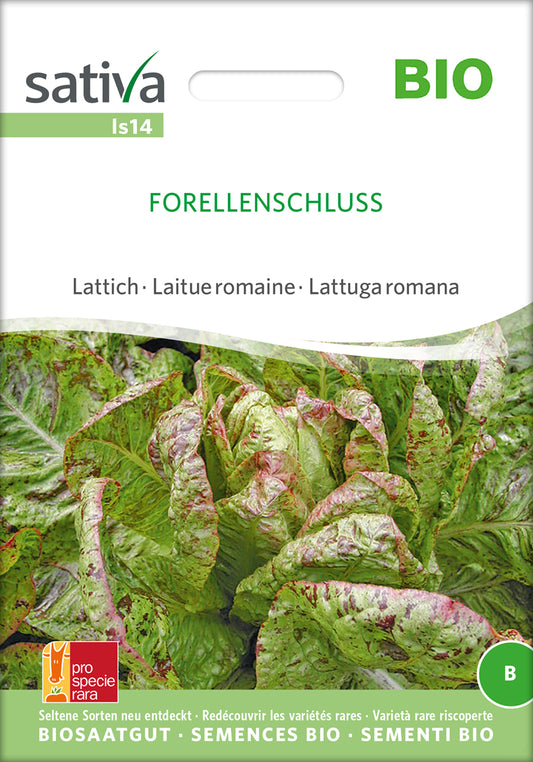 Artikelbild 1 von "BIO Lattich Forellenschluss" aus der Kategorie Eichblattsalatsamen