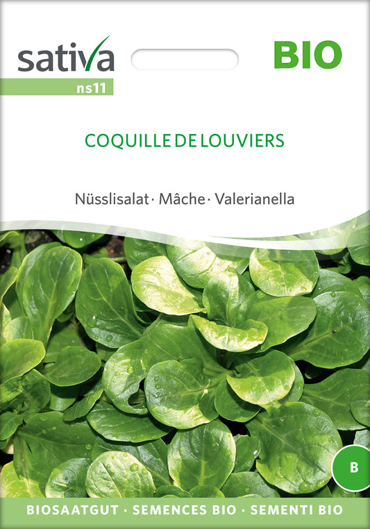 Artikelbild 1 von "BIO Nüsslisalat Coquille De Louviers" aus der Kategorie Feldsalatsamen