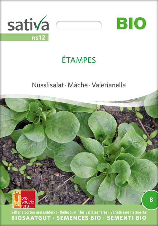 Artikelbild 1 von "BIO Nüsslisalat Étampes" aus der Kategorie Feldsalatsamen