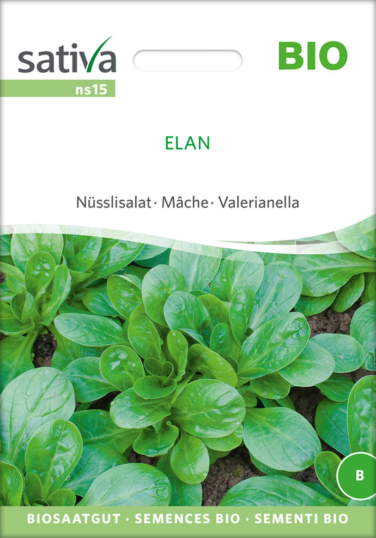 Artikelbild 1 von "BIO Nüsslisalat Elan" aus der Kategorie Feldsalatsamen