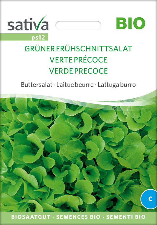 Artikelbild 1 von "BIO Buttersalat Frühschnittsalat Grüner" aus der Kategorie Salatsamen