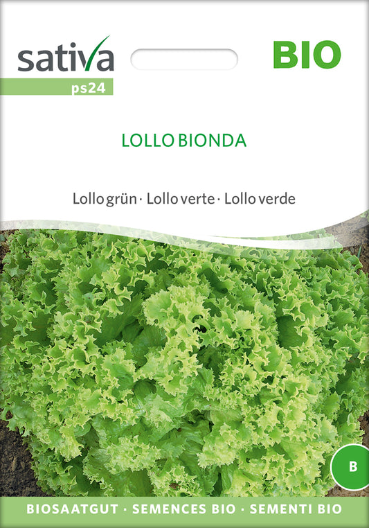 Artikelbild 1 von "BIO Lollo grün Lollo Bionda" aus der Kategorie Pflücksalatsamen