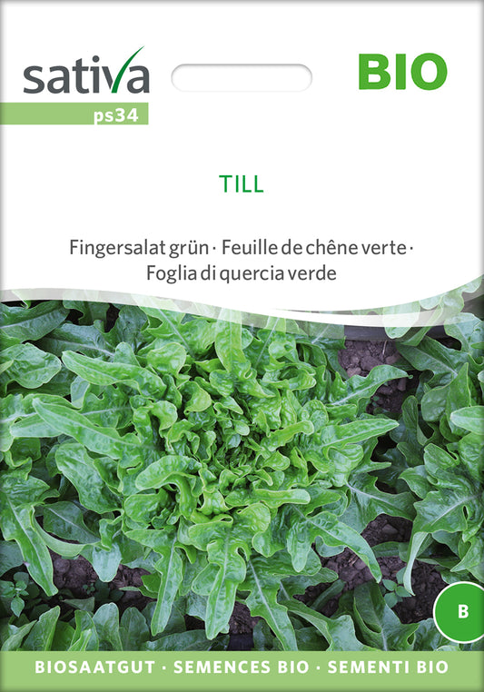 Artikelbild 1 von "BIO Fingersalat grün Till" aus der Kategorie Pflücksalatsamen