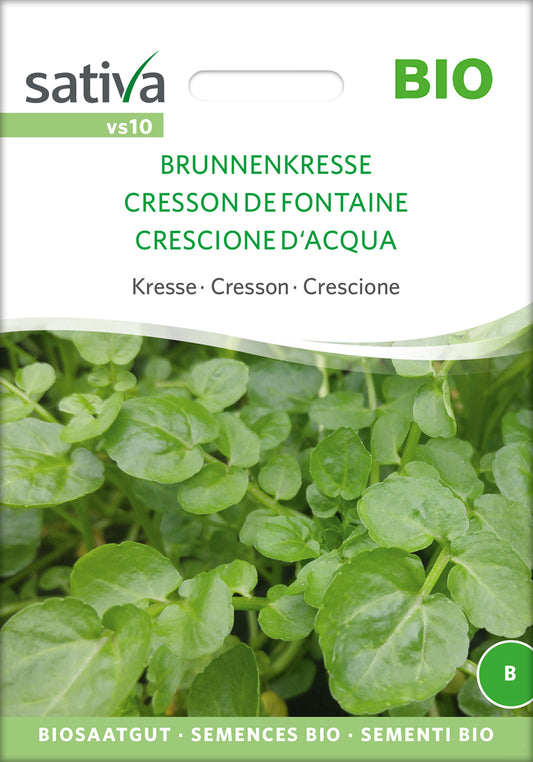 Artikelbild 1 von "BIO Kresse Brunnenkresse" aus der Kategorie Kressesamen