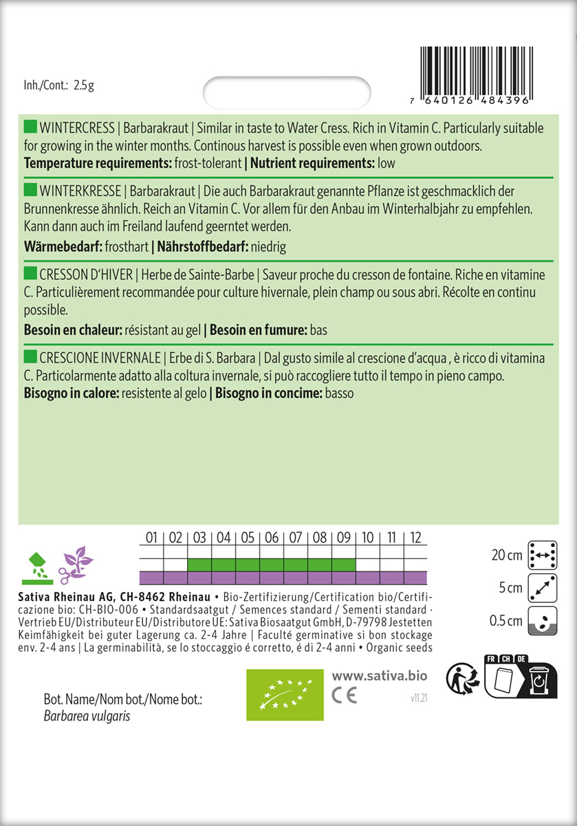 Artikelbild 2 von "BIO Barbarakraut Winterkresse" aus der Kategorie Kressesamen