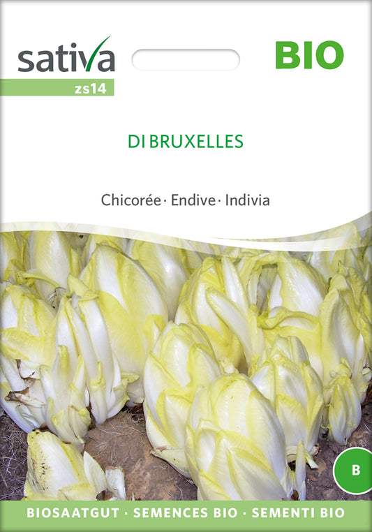 Artikelbild 1 von "BIO Chicorée Di Bruxelles" aus der Kategorie Chicoréesamen