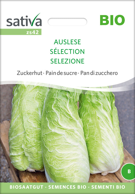 Artikelbild 1 von "BIO Zuckerhut Auslese" aus der Kategorie Zuckerhutsamen