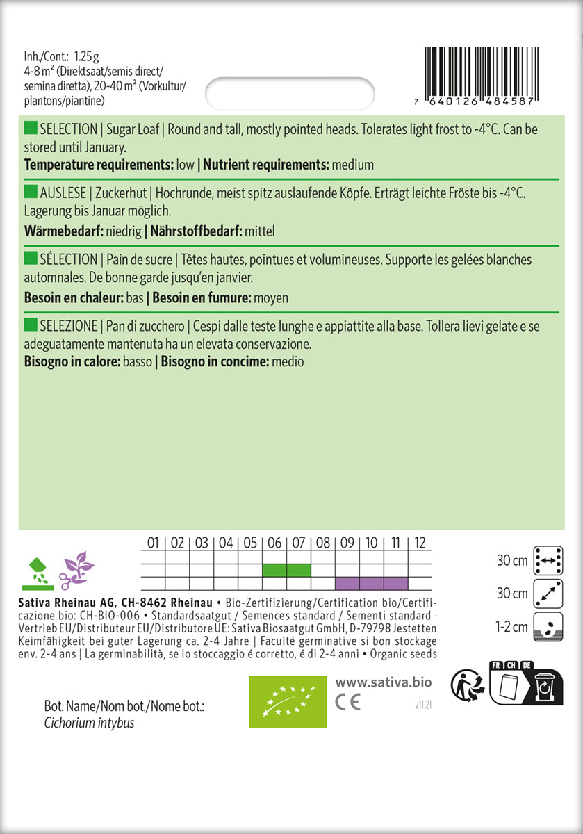 Artikelbild 2 von "BIO Zuckerhut Auslese" aus der Kategorie Zuckerhutsamen