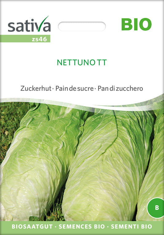 Artikelbild 1 von "BIO Zuckerhut Nettuno" aus der Kategorie Zuckerhutsamen