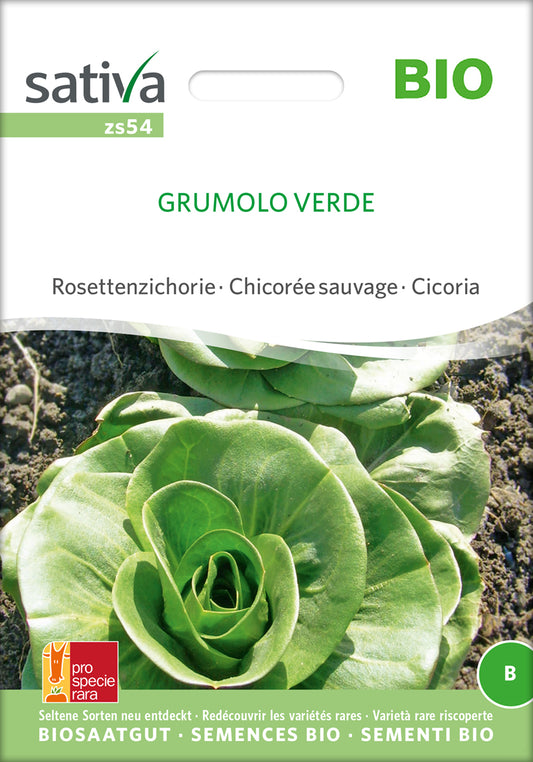 Artikelbild 1 von "BIO Rosettenzichorie Grumolo Verde" aus der Kategorie Salatsamen