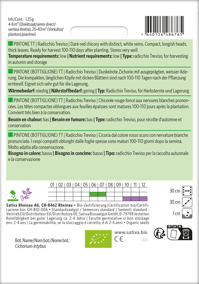 Artikelbild 2 von "BIO Treviso Pintone" aus der Kategorie Salatsamen
